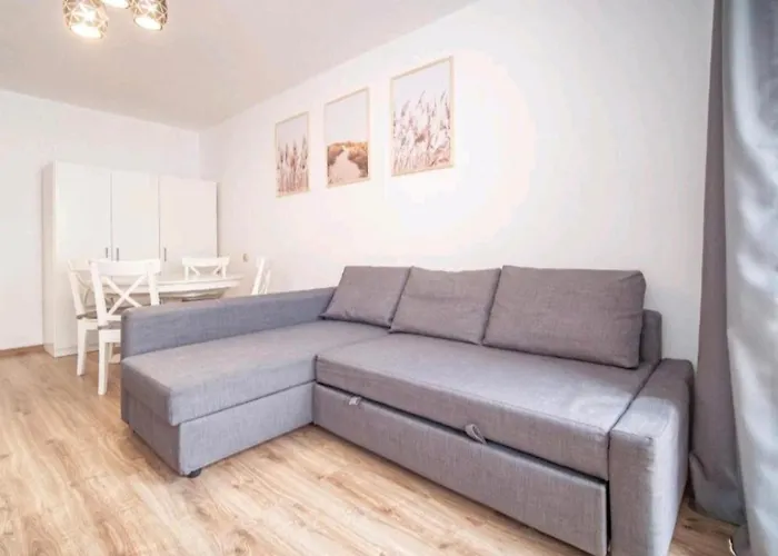 Morska Plaza Brzezno 公寓 格但斯克